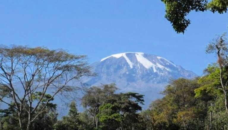 Kilimanjaro-view-point-2-3-786x450