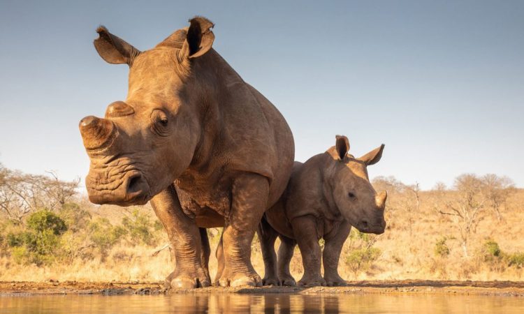 Mkomanzi-National-Park1